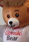 Gonski campaign