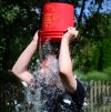 Ice Bucket Challenge (photo: Wikipedia)