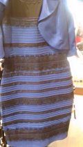 Gold and white or black and blue dress