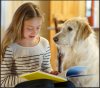 reading assistance dog (Image: Microsoft)
