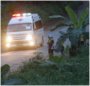 Thai ambulance (Image: ABC)