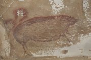 Pig cave painting (Image: Griffith University, The Conversation)